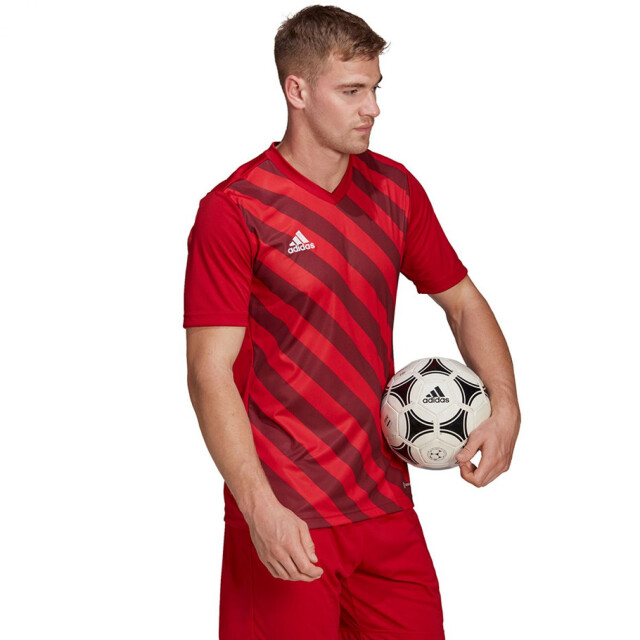 Adidas Heren entrada 22 grafische trui UTPP1969_red large