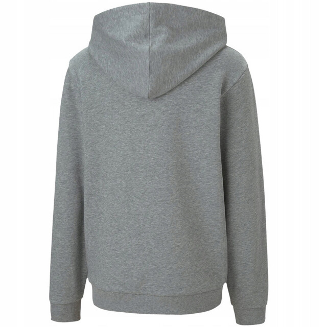 Puma Kinderen/kinderen teamgoal 23 hoodie UTPP1893_grey large