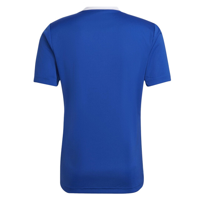Adidas Heren entrada 22 voetbal jersey UTPP853_blue large