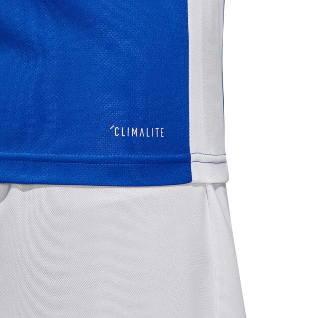 Adidas Heren entrada 18 voetbal jersey UTPP723_blue large
