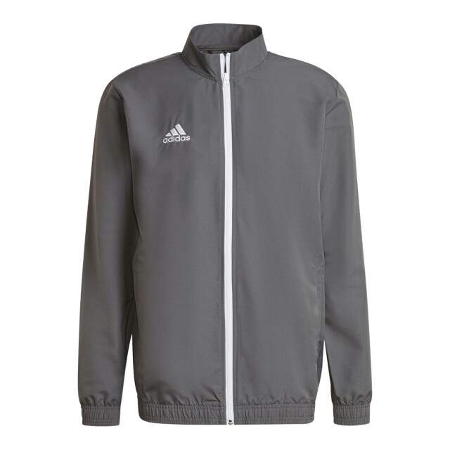Adidas Heren entrada 22 jas UTPP648_grey large