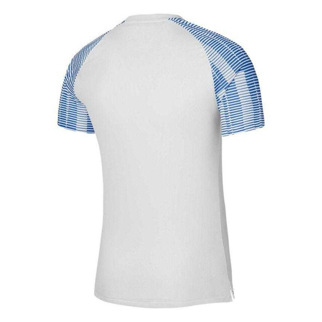 Nike Heren academy dri-fit jersey UTPP6414_whiteblue large