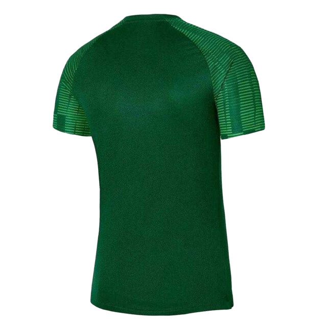 Nike Heren academy dri-fit jersey UTPP6414_green large Nike Heren academy dri-fit jersey UTPP6414_green large