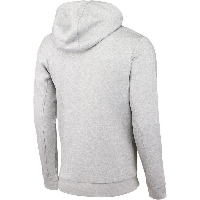 4F Heren effen 1 kangoeroezak hoodie UTPP1746_grey large