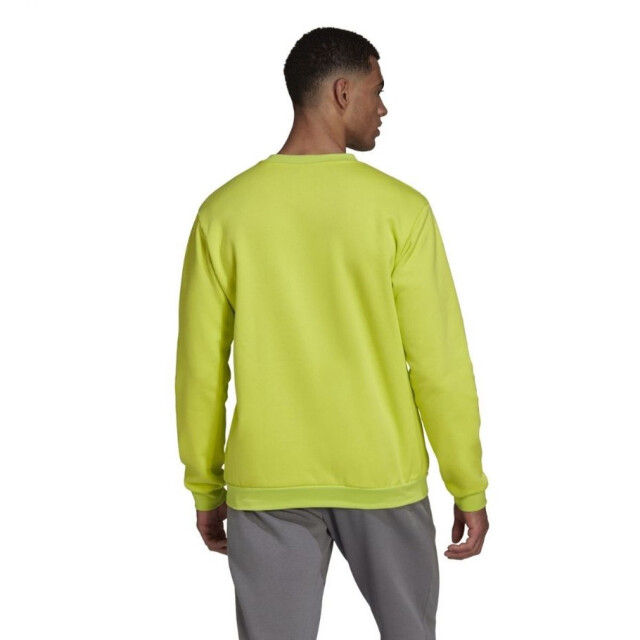 Adidas Heren entrada 22 sweatshirt UTPP1783_green large