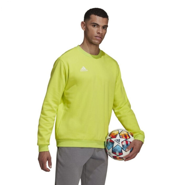 Adidas Heren entrada 22 sweatshirt UTPP1783_green large
