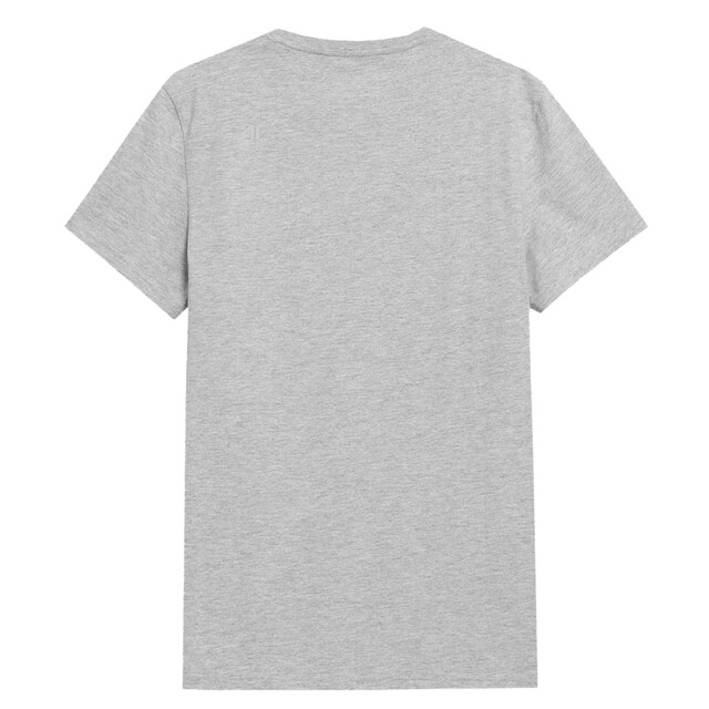 4F Heren ss23ttshm536 t-shirt UTPP1750_greysilver large
