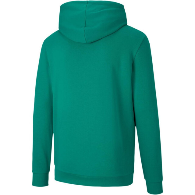 Puma Heren teamgoal 23 hoodie UTPP1084_green large
