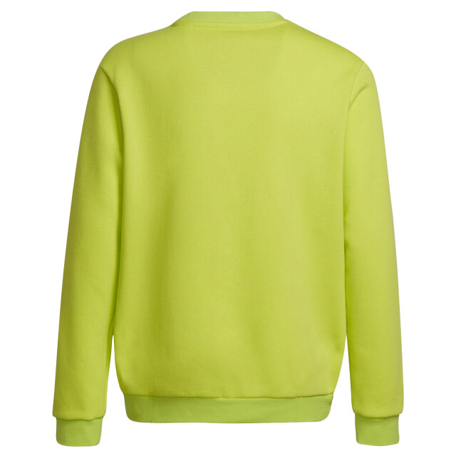 Adidas Kinderen/kinderen sweatshirt UTPP1097_green large Adidas Kinderen/kinderen sweatshirt UTPP1097_green large