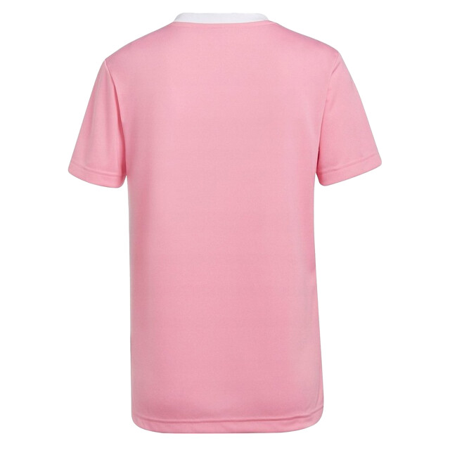 Adidas Dames entrada 22 jersey UTPP1110_pink large