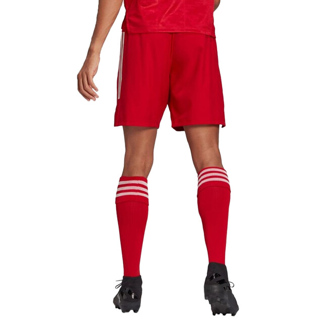 Adidas Heren condivo 21 prime blauw korte broek UTPP1091_red large