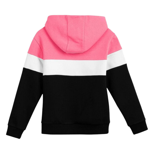 4F Kinderen/kleuters hjl22 jbld002 hoodie UTPP123_blackpinkwhite large