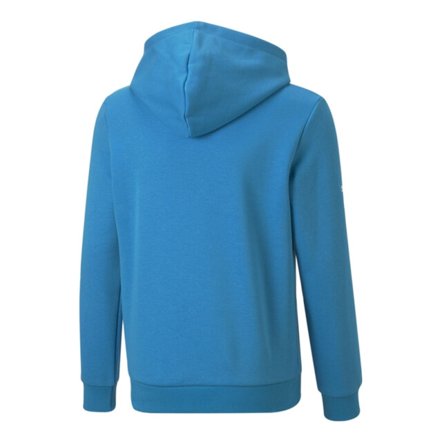 Puma Kinderen/kinderen motorsport bmw logo hoodie UTPP5503_blue large