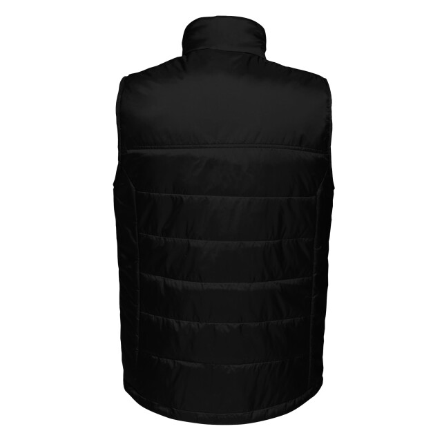 Regatta Heren fase ii geïsoleerde bodywarmer UTRG3562_black large