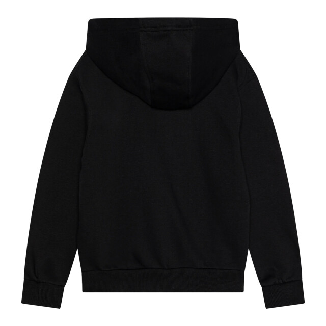 Nike Kinderen/kinderen cr7 club fleece hoodie UTPP5553_greysilver large Nike Kinderen/kinderen cr7 club fleece hoodie UTPP5553_greysilver large