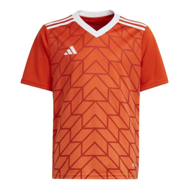 Adidas Kinderen/kinderen team icoon 23 t-shirt UTPP5562_orange large Adidas Kinderen/kinderen team icoon 23 t-shirt UTPP5562_orange large