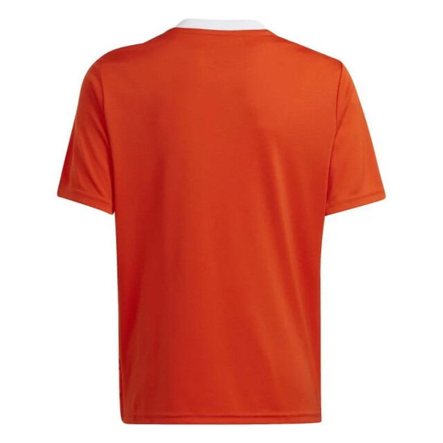 Adidas Kinderen/kinderen team icoon 23 t-shirt UTPP5562_orange large Adidas Kinderen/kinderen team icoon 23 t-shirt UTPP5562_orange large