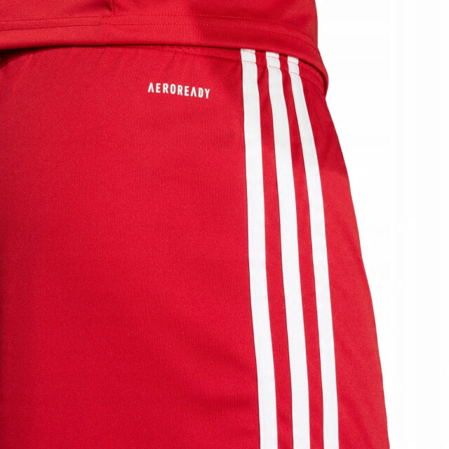Adidas Heren squadra 25 korte broek UTPP5516_red large Adidas Heren squadra 25 korte broek UTPP5516_red large