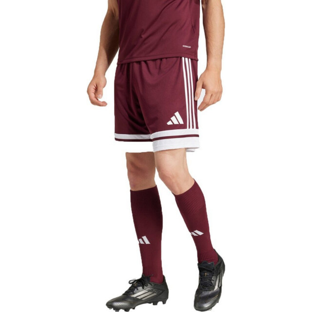 Adidas Heren squadra 25 korte broek UTPP5516_burgundy large Adidas Heren squadra 25 korte broek UTPP5516_burgundy large