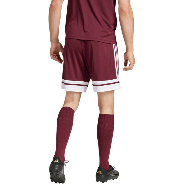 Adidas Heren squadra 25 korte broek UTPP5516_burgundy large Adidas Heren squadra 25 korte broek UTPP5516_burgundy large