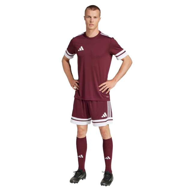 Adidas Heren squadra 25 korte broek UTPP5516_burgundy large Adidas Heren squadra 25 korte broek UTPP5516_burgundy large