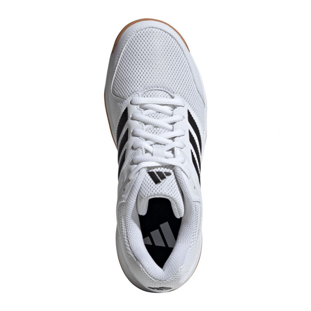 Adidas Dames speedcourt volleybalschoenen UTPP5980_white large Adidas Dames speedcourt volleybalschoenen UTPP5980_white large