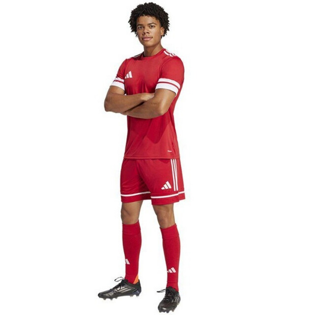 Adidas Heren squadra 25 korte broek UTPP2768_red large Adidas Heren squadra 25 korte broek UTPP2768_red large