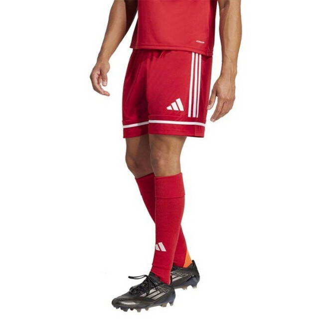 Adidas Heren squadra 25 korte broek UTPP2768_red large Adidas Heren squadra 25 korte broek UTPP2768_red large