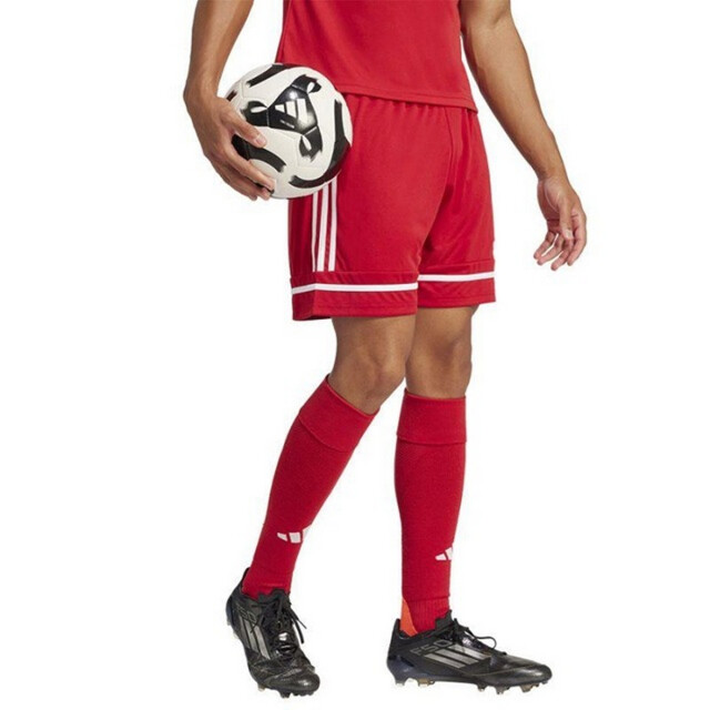 Adidas Heren squadra 25 korte broek UTPP2768_red large Adidas Heren squadra 25 korte broek UTPP2768_red large