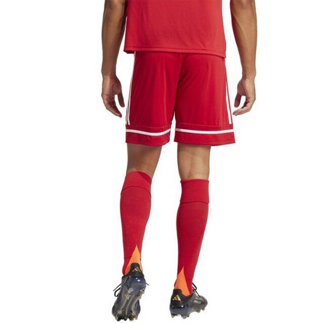 Adidas Heren squadra 25 korte broek UTPP2768_red large Adidas Heren squadra 25 korte broek UTPP2768_red large