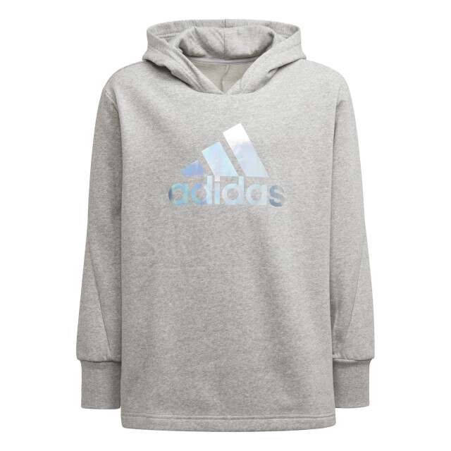 Adidas Meisjes groot logo hoodie UTPP1918_greysilver large Adidas Meisjes groot logo hoodie UTPP1918_greysilver large