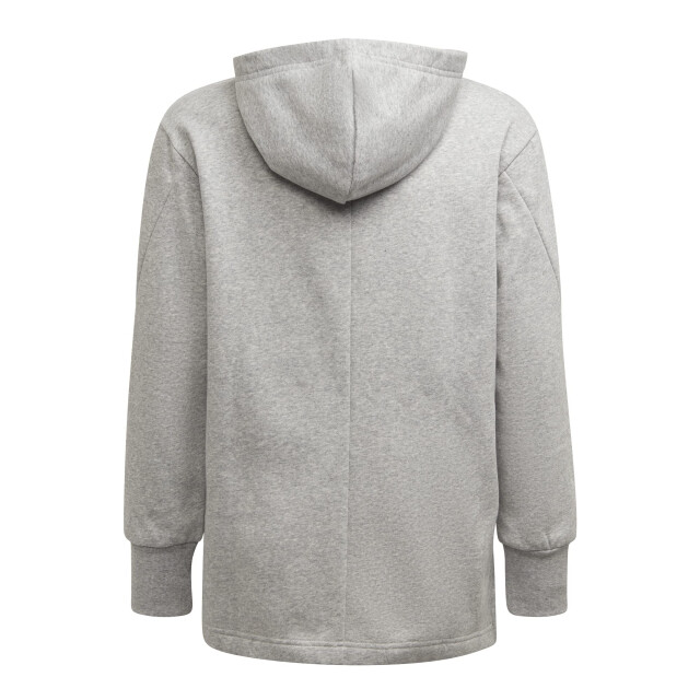 Adidas Meisjes groot logo hoodie UTPP1918_greysilver large Adidas Meisjes groot logo hoodie UTPP1918_greysilver large