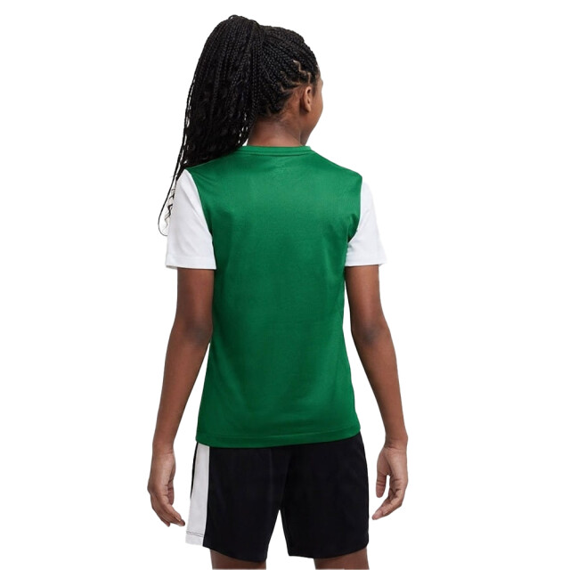 Nike Tiempo premier ii dri-fit t-shirt voor kinderen/kinderen UTPP5878_whitegreen large Nike Tiempo premier ii dri-fit t-shirt voor kinderen/kinderen UTPP5878_whitegreen large