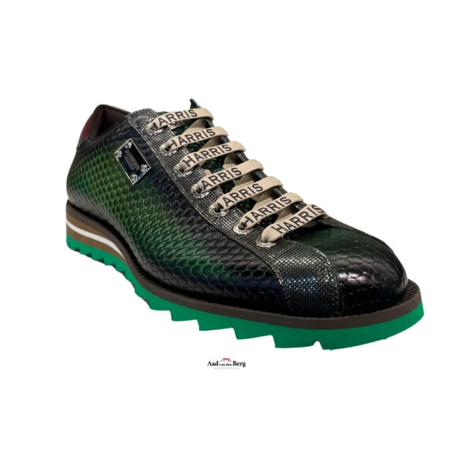 Harris Herenschoenen sneakers 2892 5339 large