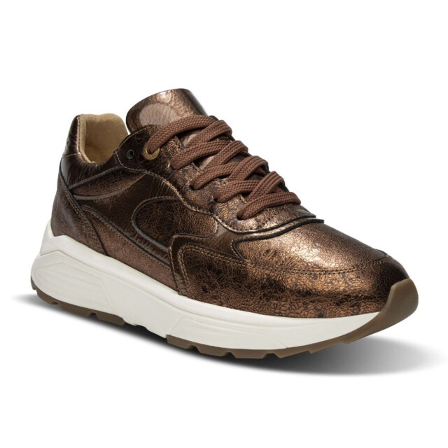 Xsensible 33002.4-Ponte Vecchio Veterschoenen Bruin 33002.4-Ponte Vecchio large