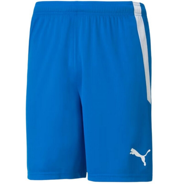 Puma Heren teamliga shorts UTPP5066_blue large