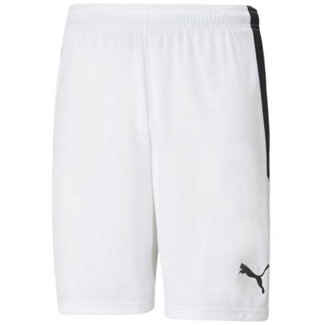 Puma Heren teamliga shorts UTPP5066_white large