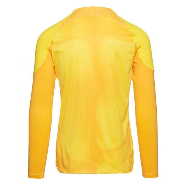 Nike Heren gardien iv keepershirt UTPP3721_yellow large