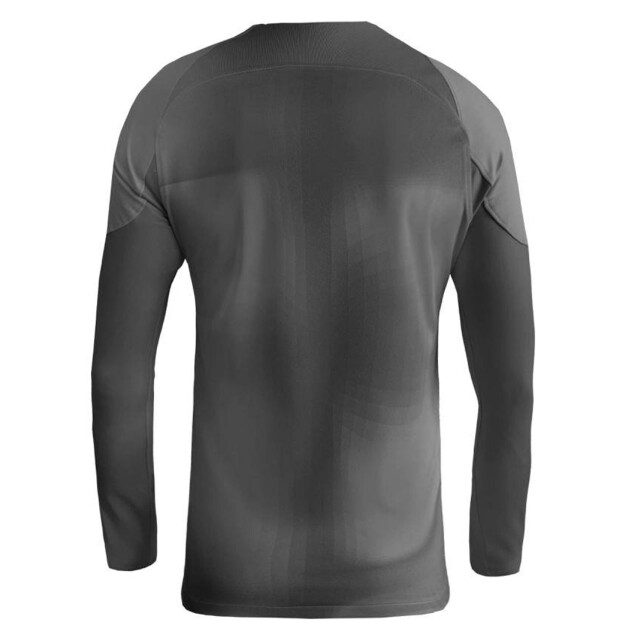 Nike Heren gardien iv keepershirt UTPP3721_black large