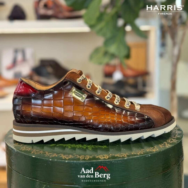 Harris Herenschoenen sneakers 2892 5339 large