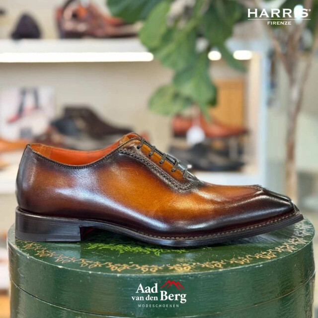Harris Herenschoenen veterschoenen Istanbul 509 large