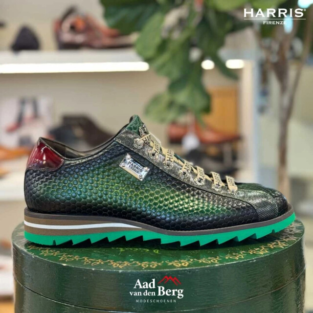 Harris Herenschoenen sneakers 2892 5339 large