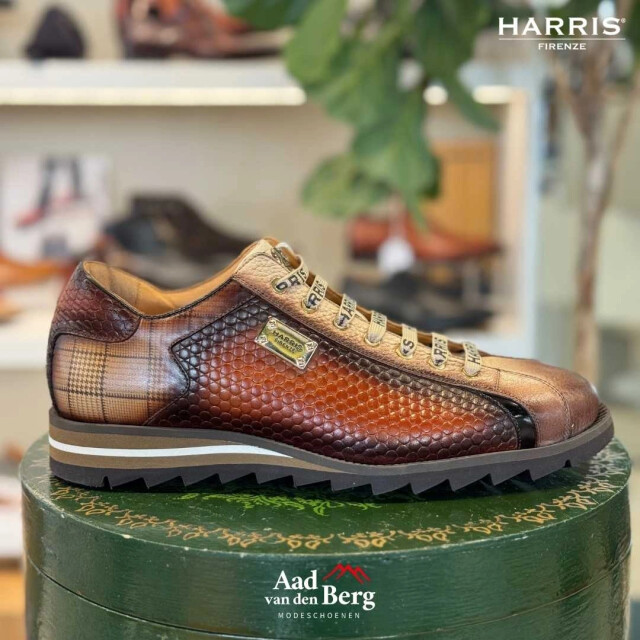 Harris Herenschoenen sneakers 0818 5339 large