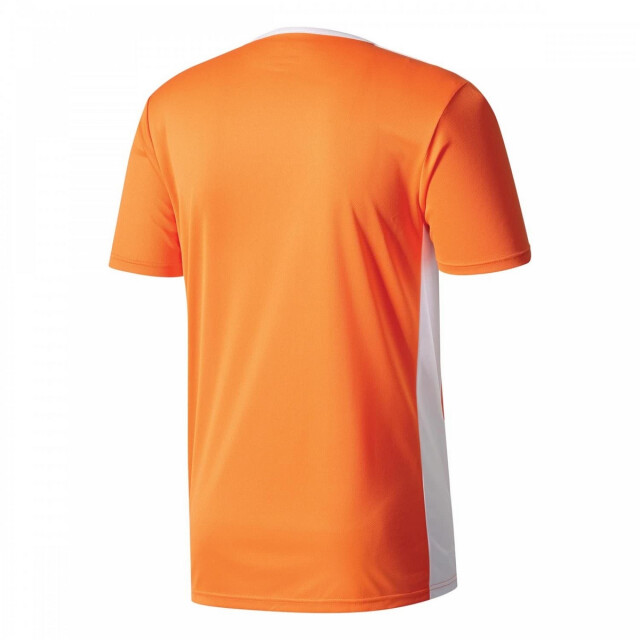 Adidas Kinderen/kinderen entrada 18 t-shirt UTPP3179_orange large Adidas Kinderen/kinderen entrada 18 t-shirt UTPP3179_orange large