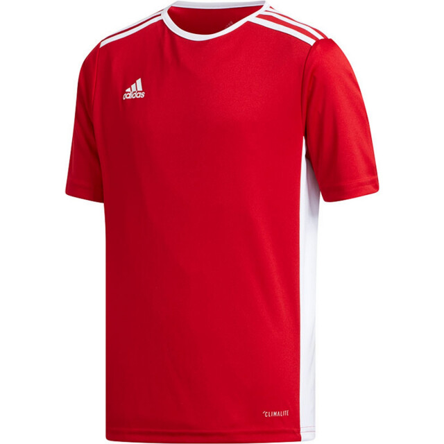 Adidas Kinderen/kinderen entrada 18 t-shirt UTPP3179_red large Adidas Kinderen/kinderen entrada 18 t-shirt UTPP3179_red large
