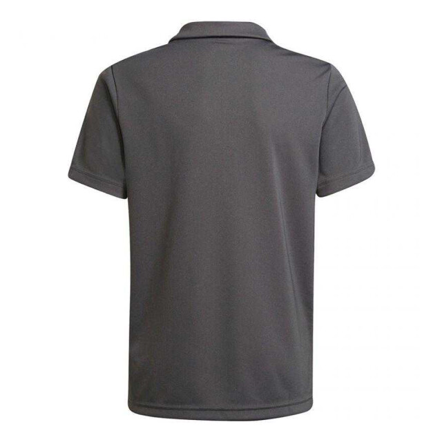 Adidas Jongens entrada 22 poloshirt UTPP2371_grey large