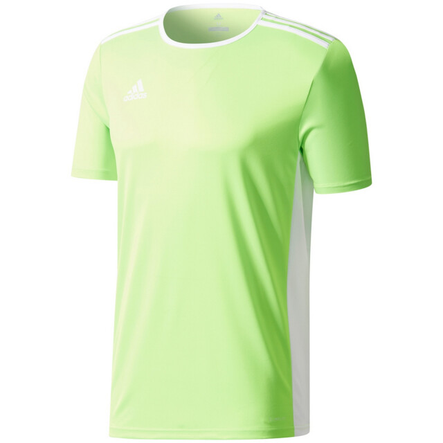 Adidas Kinderen/kinderen entrada 18 t-shirt UTPP3179_green large Adidas Kinderen/kinderen entrada 18 t-shirt UTPP3179_green large