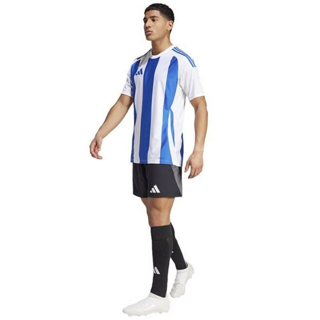 Adidas Heren 24 gestreepte voetbal jersey UTPP6401_whiteblue large