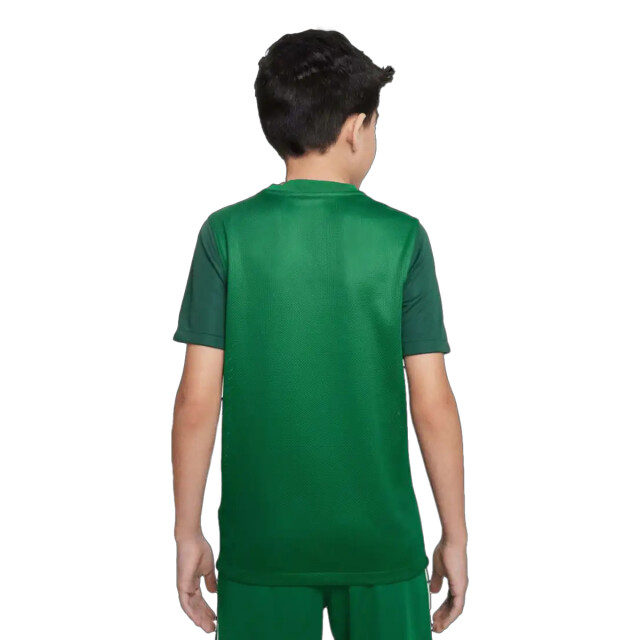 Nike Kinderen/kinderen trofee v t-shirt UTPP5868_green large Nike Kinderen/kinderen trofee v t-shirt UTPP5868_green large