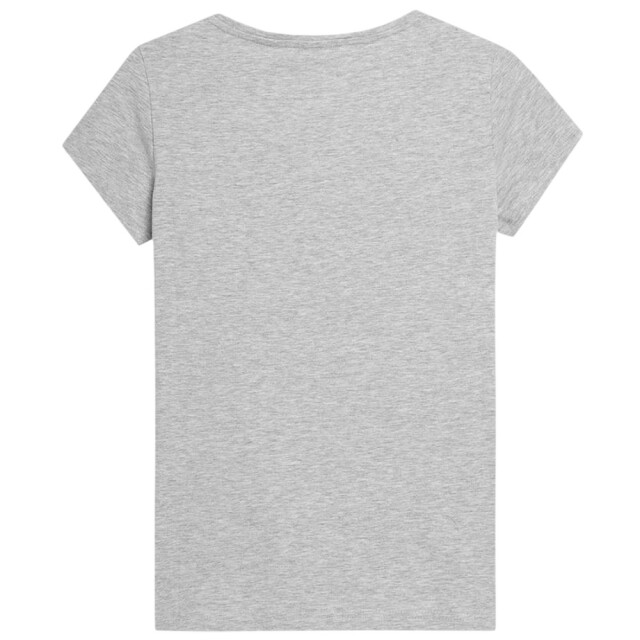 4F Dames h4z22-tsd353 t-shirt UTPP1734_grey large 4F Dames h4z22-tsd353 t-shirt UTPP1734_grey large